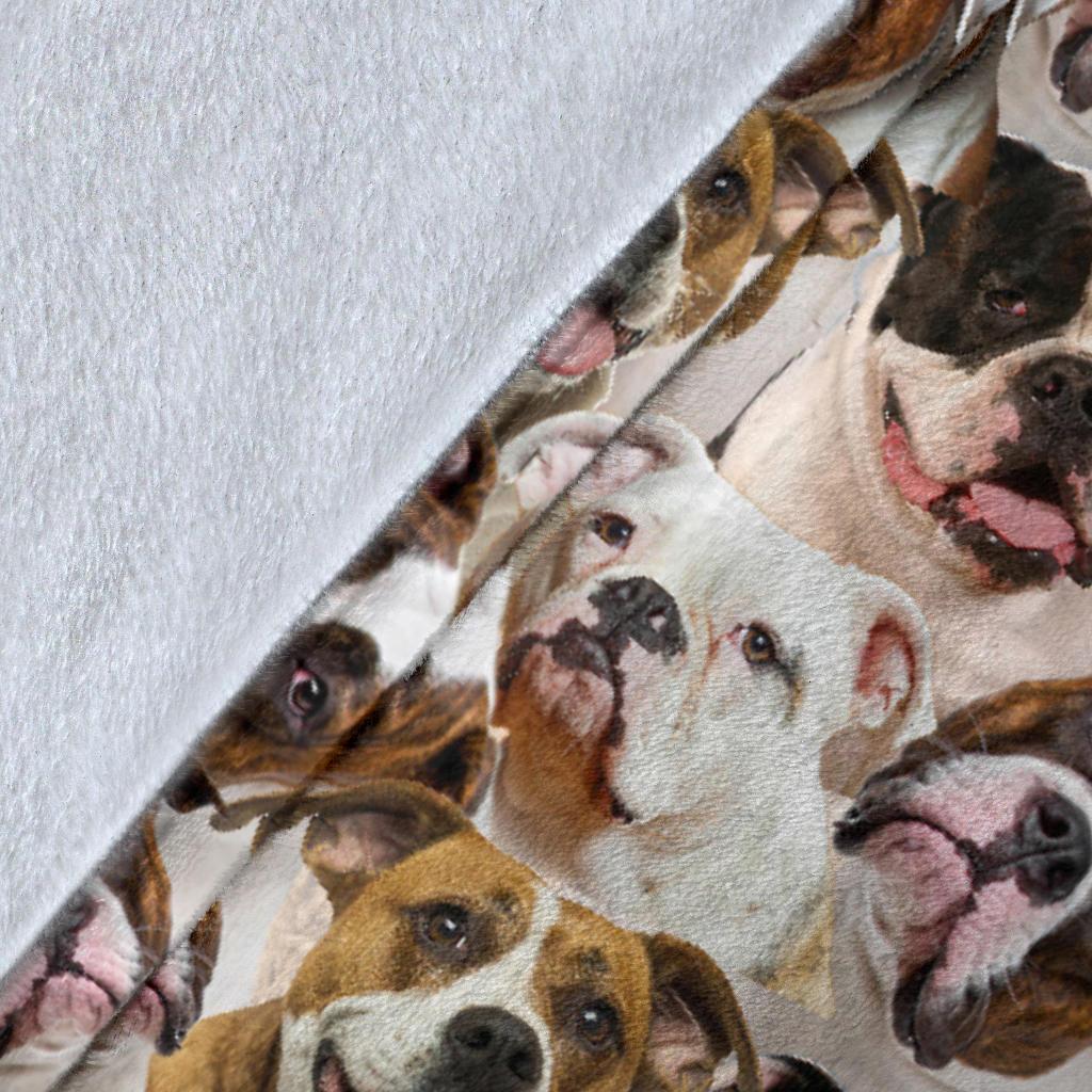 american-bulldog-1-full-face-blanket-icrco.jpg