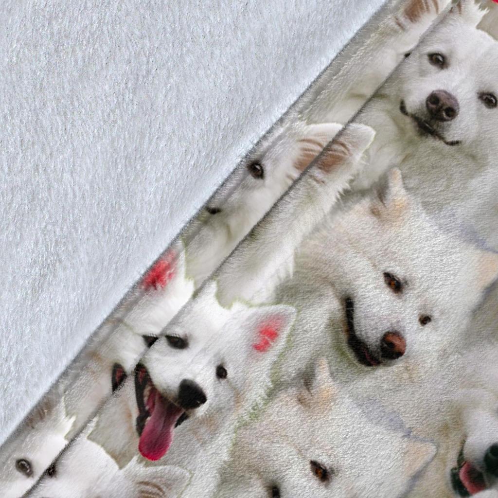 american-eskimo-dog-full-face-blanket-yhxnk.jpg