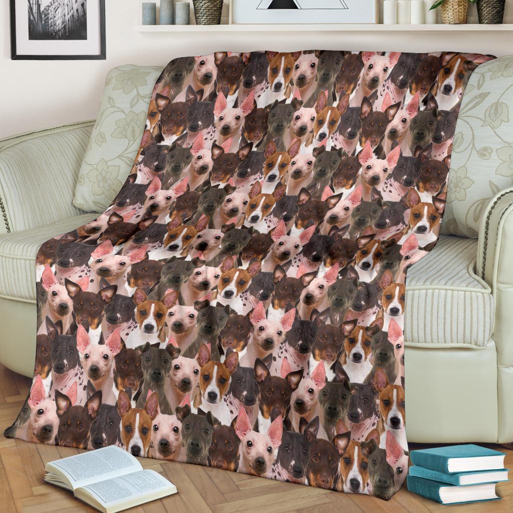 american-hairless-terrier-full-face-blanket-pmudg.jpg