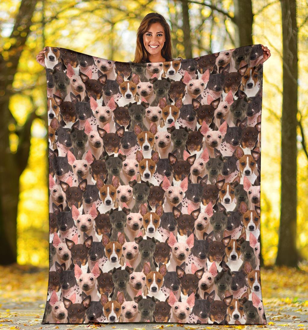 american-hairless-terrier-full-face-blanket-rei9m.jpg