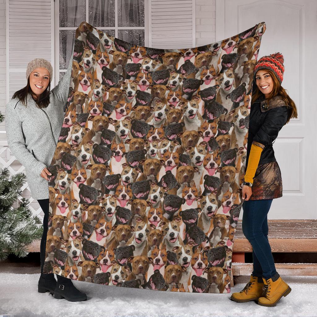 american-staffordshire-terrier-full-face-blanket-ripqh.jpg