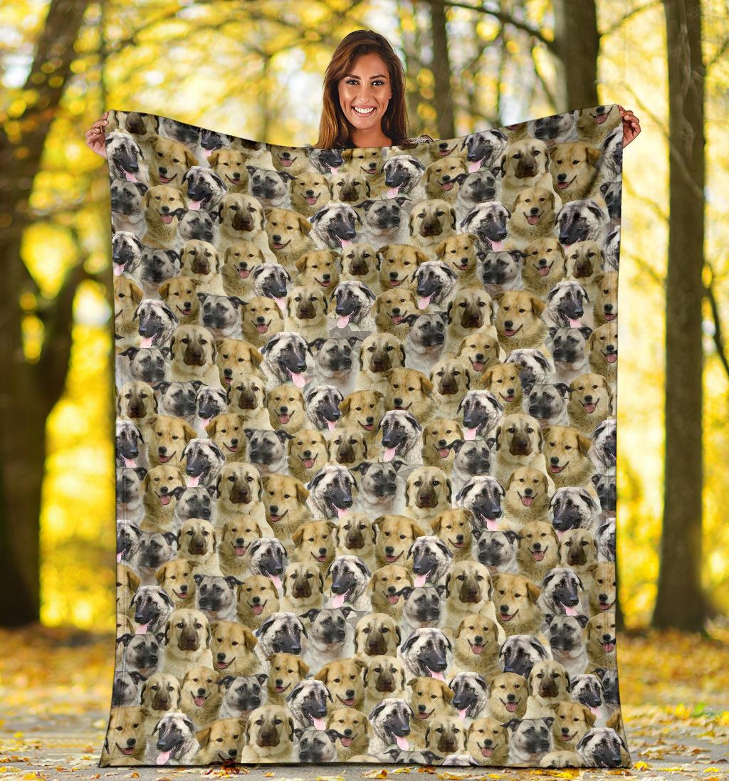 anatolian-shepherd-full-face-blanket-9qnqy.jpg