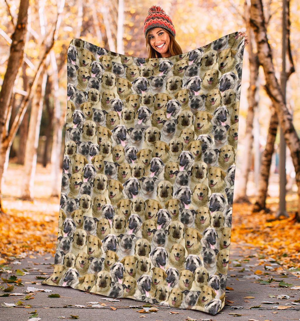 anatolian-shepherd-full-face-blanket-nbrv8.jpg