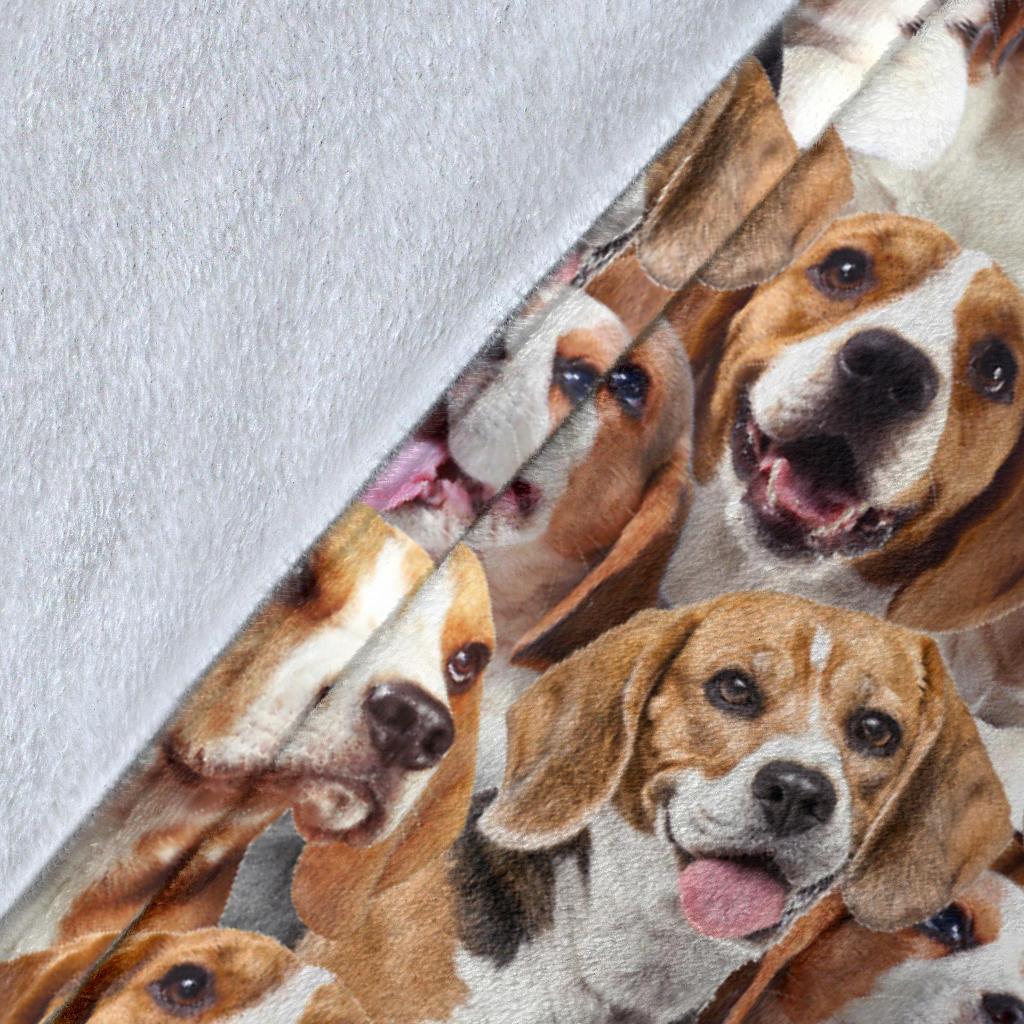 beagle-full-face-blanket-yrqcl.jpg