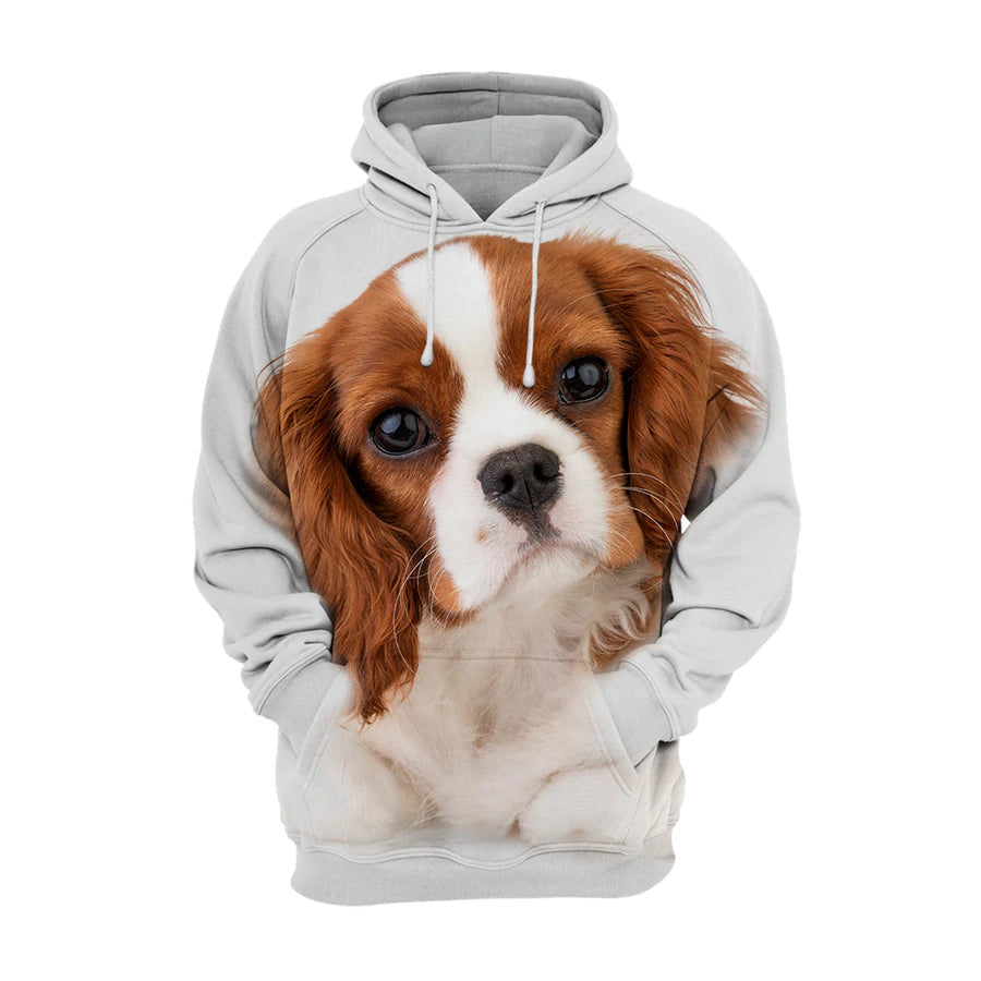 cavalier-king-spaniel-charles-unisex-3d-graphic-hoodie-dizbr.jpg
