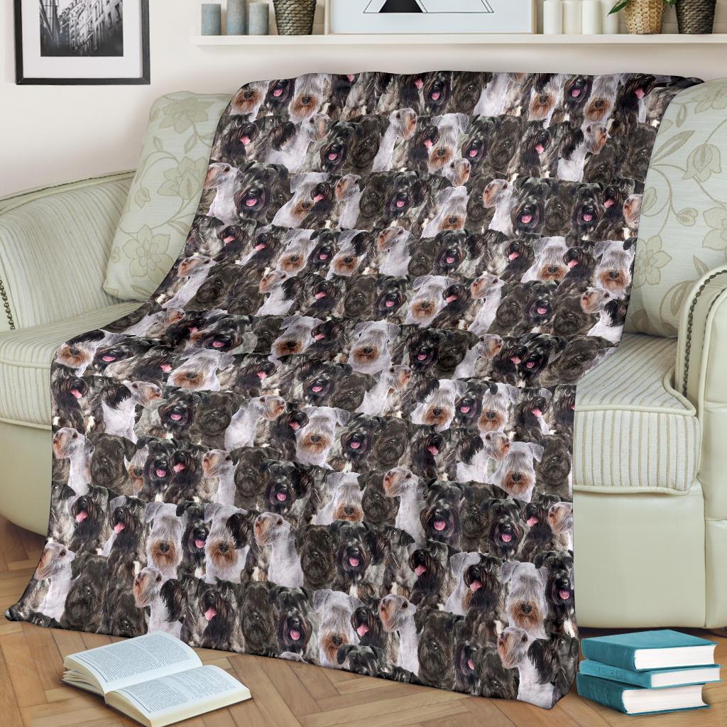 cesky-terrier-full-face-blanket-bakpx.jpg