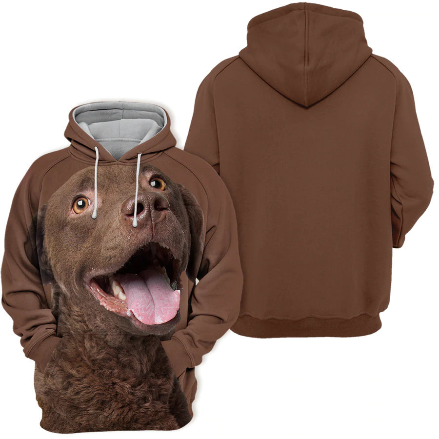 chesapeake-bay-retriever-unisex-3d-graphic-hoodie-conss.jpg