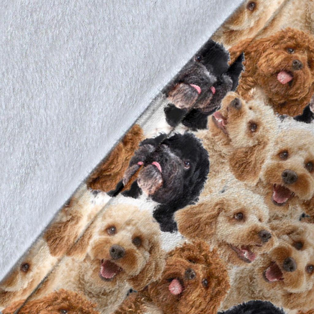 cockapoo-full-face-blanket-qzb1q.jpg
