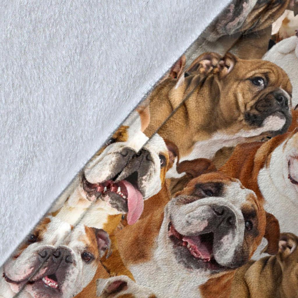 english-bulldog-full-face-blanket-h0a4c.jpg
