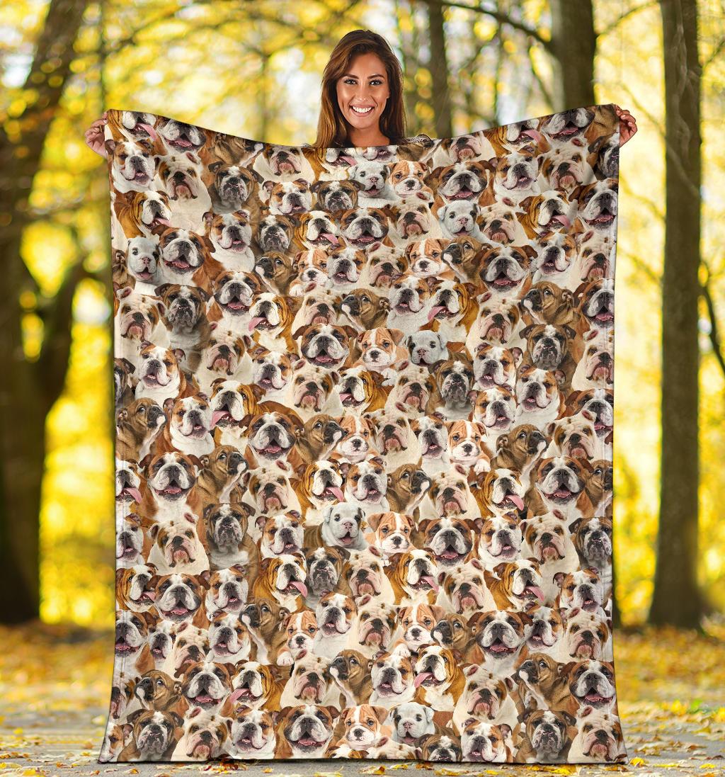 english-bulldog-full-face-blanket-hheld.jpg