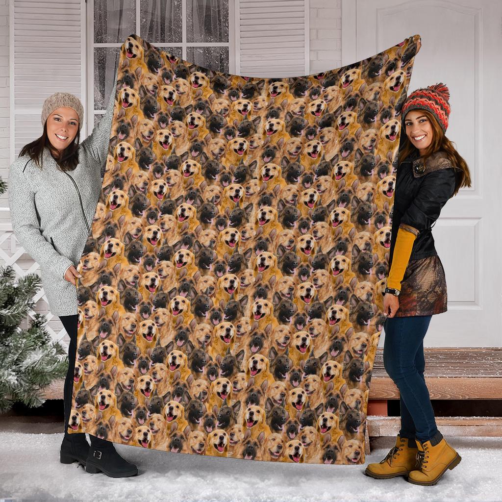 german-shepard-golden-retriever-full-face-blanket-0kqg6.jpg