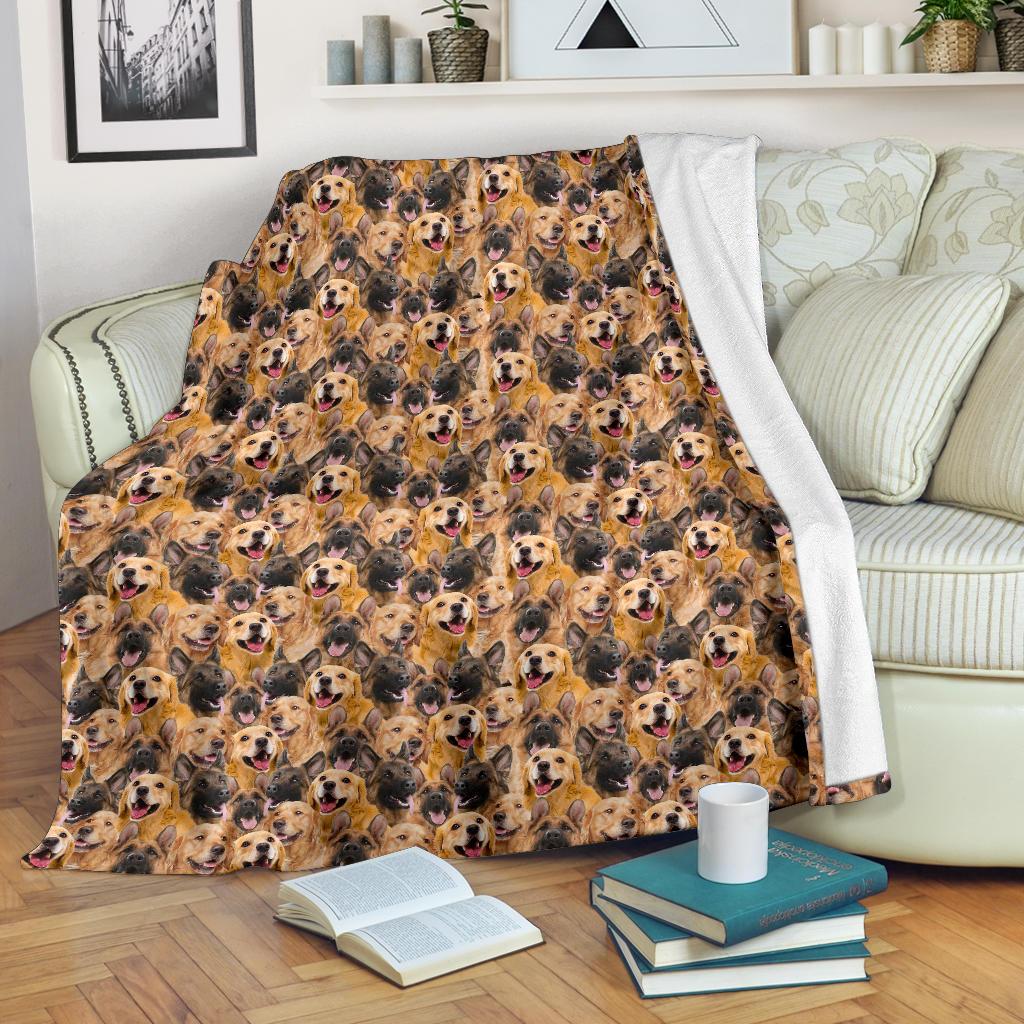 german-shepard-golden-retriever-full-face-blanket-kxe8w.jpg