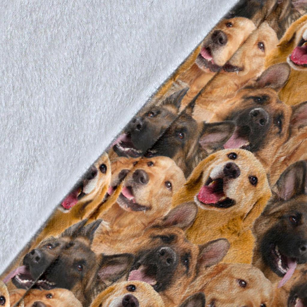 german-shepard-golden-retriever-full-face-blanket-nhpph.jpg