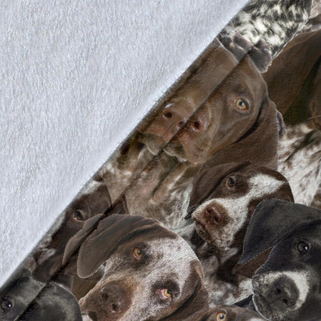 german-shorthaired-pointer-full-face-blanket-ln3lq.jpg