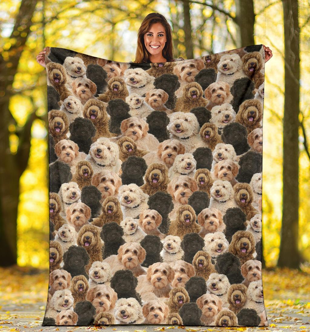 labradoodle-full-face-blanket-ez4nb.jpg