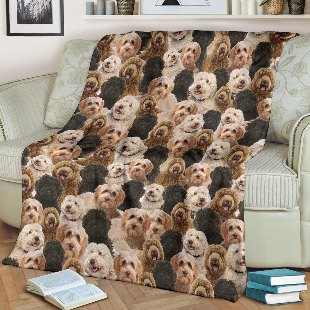labradoodle-full-face-blanket-hf3jp.jpg