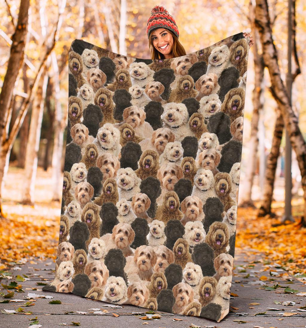 labradoodle-full-face-blanket-wdcrr.jpg