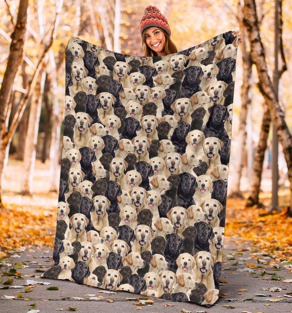 labrador-retriever-full-face-blanket-9ydrt.jpg