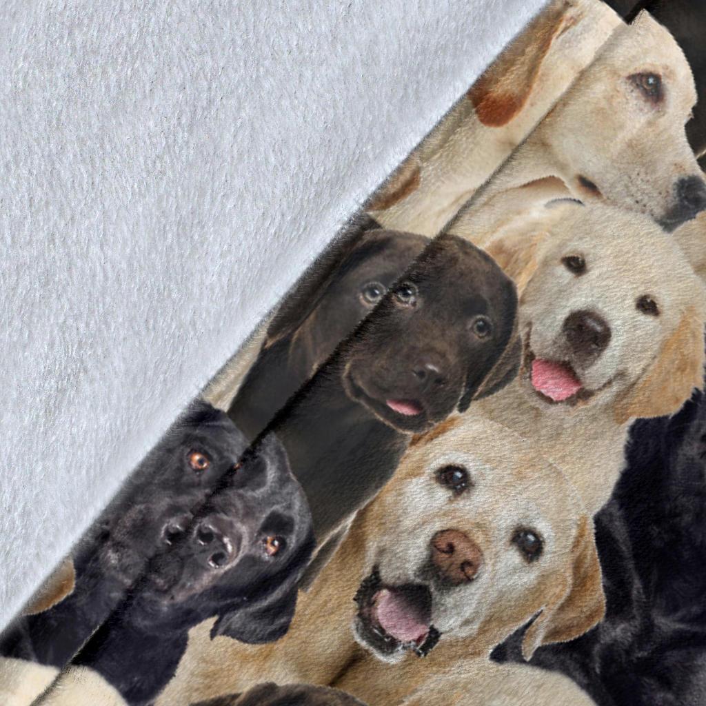 labrador-retriever-full-face-blanket-zebl0.jpg