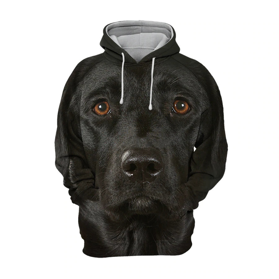 labrador-unisex-3d-graphic-hoodie-rrxdy.jpg