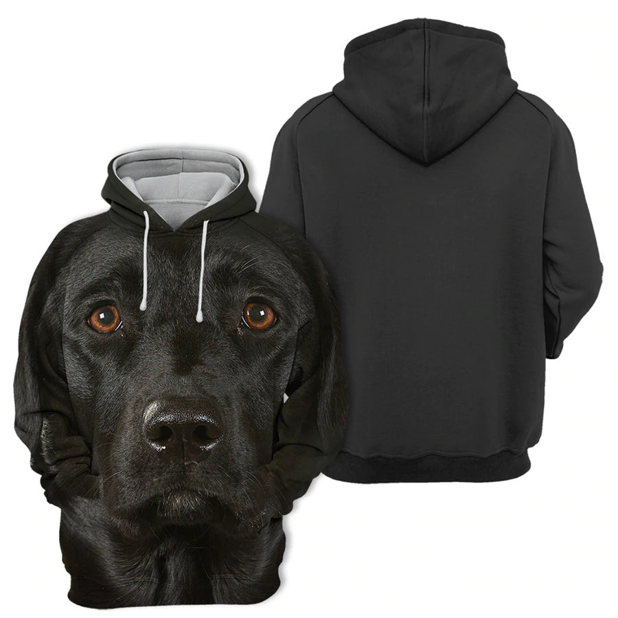 labrador-unisex-3d-graphic-hoodie-v5zzm.jpg