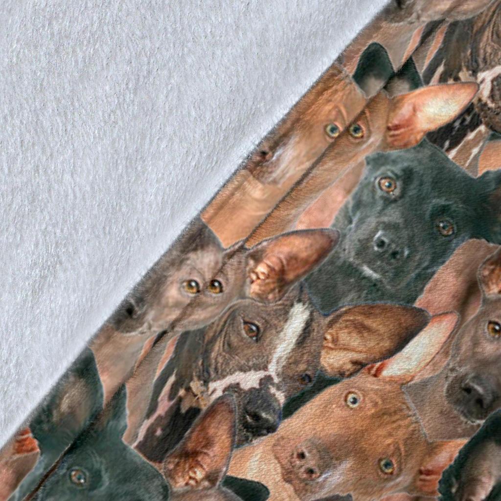 peruvian-hairless-dog-full-face-blanket-dt29q.jpg