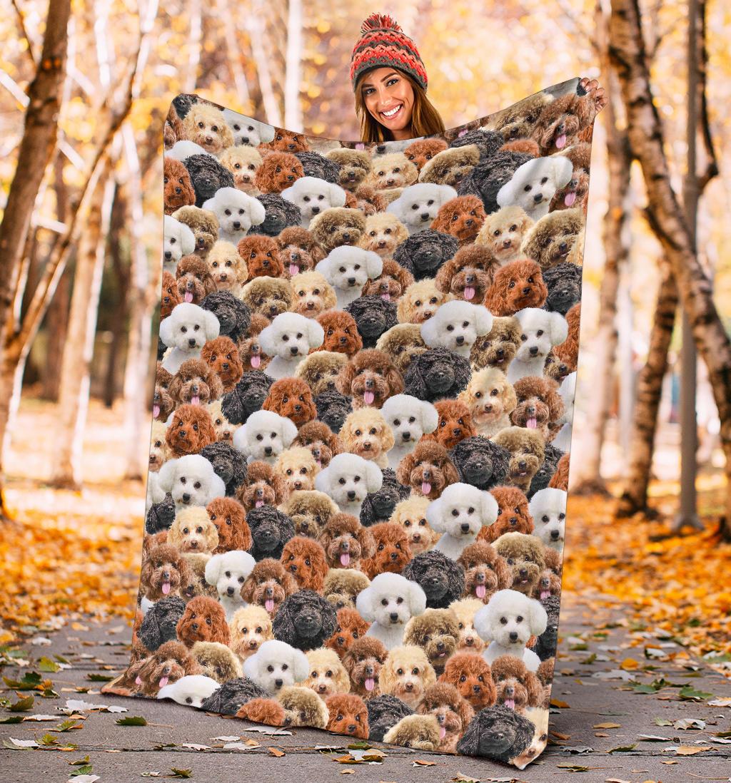poodle-full-face-blanket-suteo.jpg