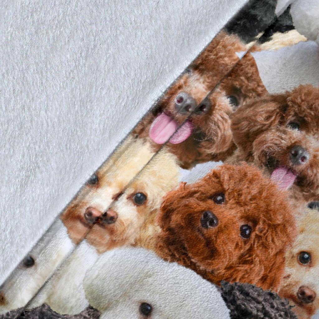 poodle-full-face-blanket-utwmy.jpg