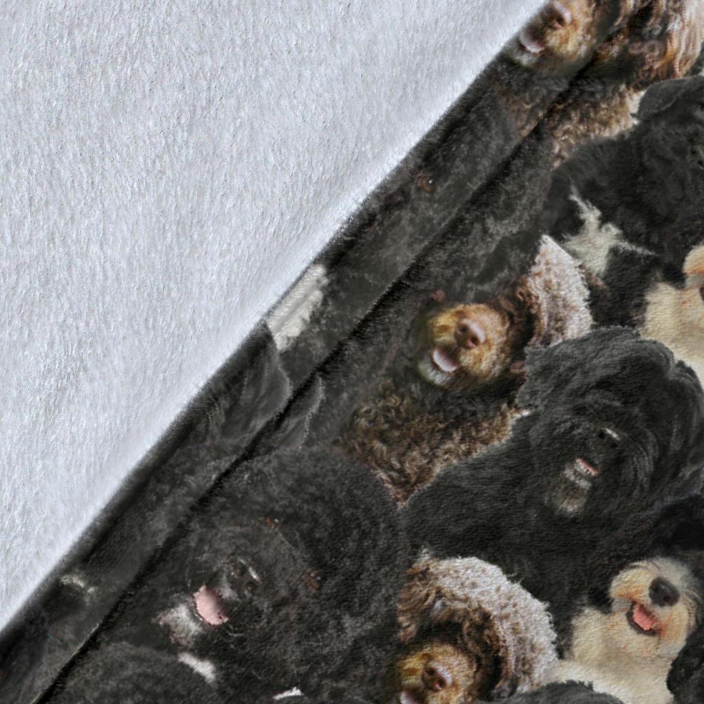 portuguese-water-dog-full-face-blanket-xlswr.jpg
