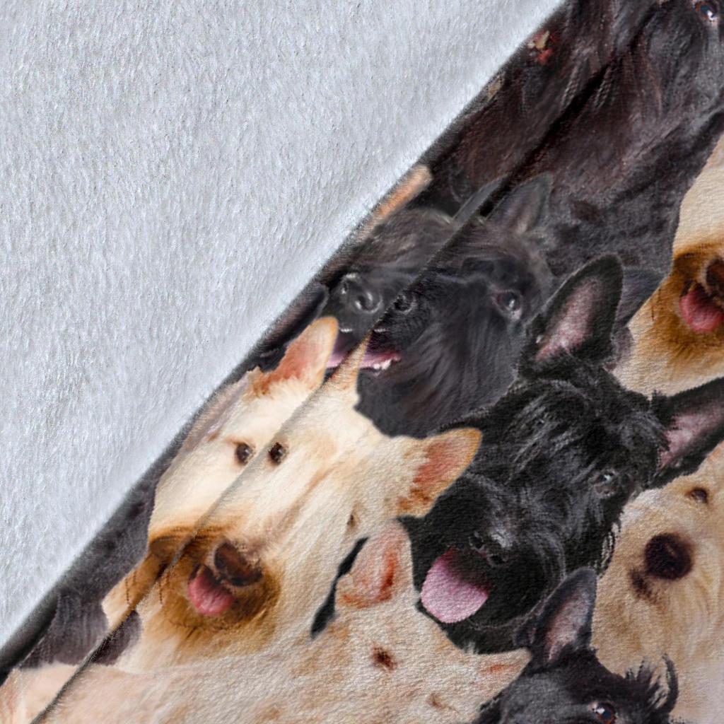 scottish-terrier-full-face-blanket-0llja.jpg