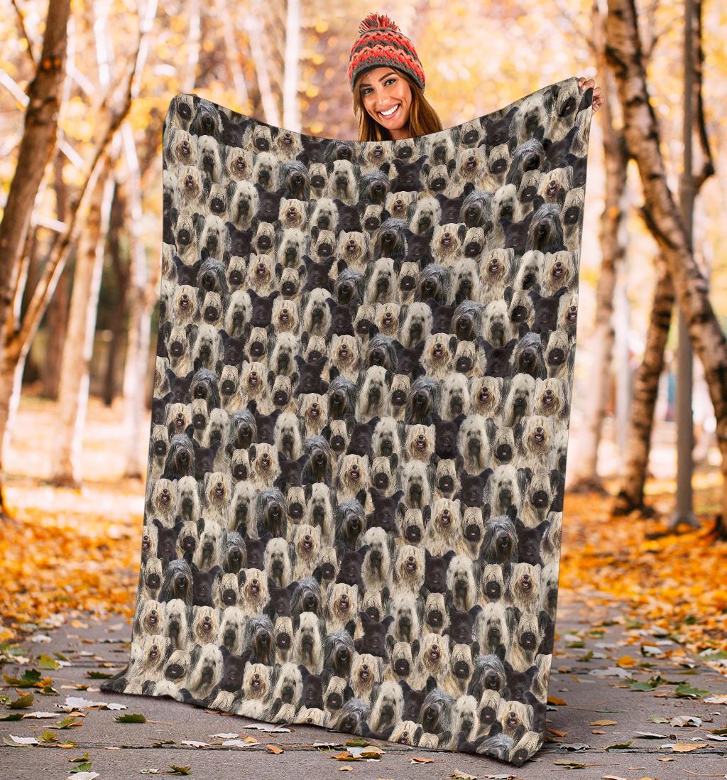 skye-terrier-full-face-blanket-b314u.jpg