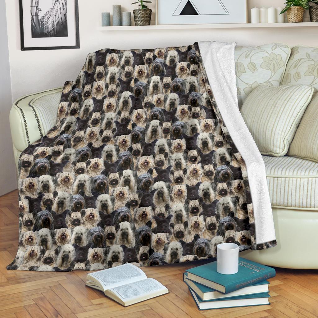 skye-terrier-full-face-blanket-qhsfm.jpg