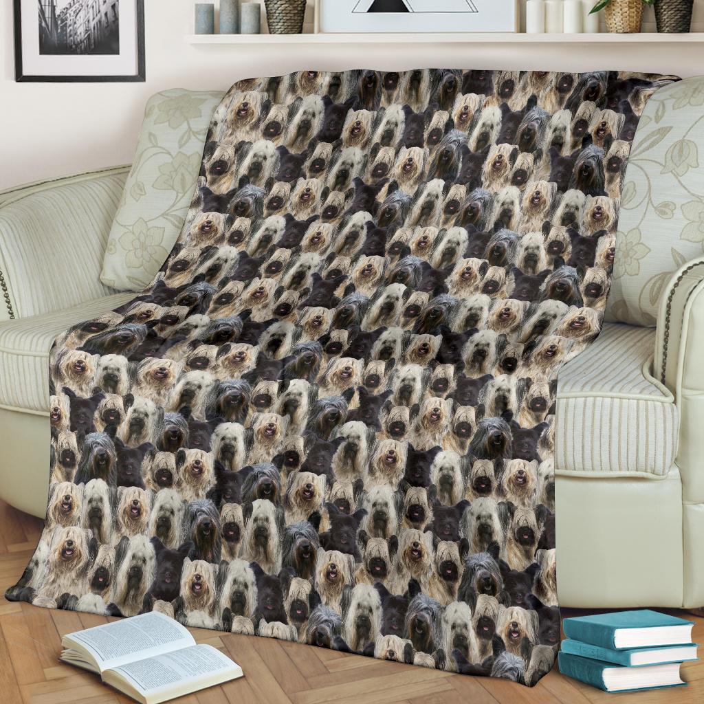 skye-terrier-full-face-blanket-wxdxi.jpg