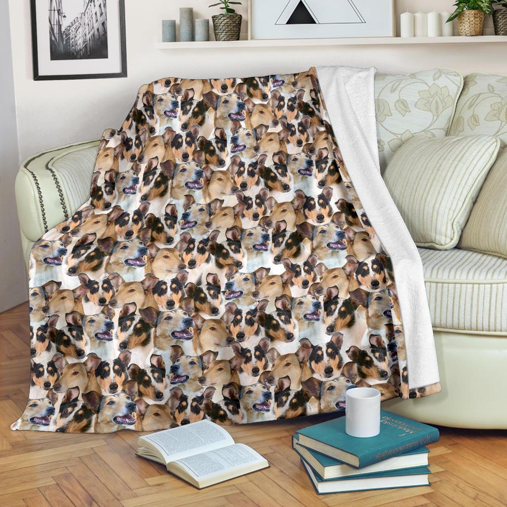 smooth-collie-full-face-blanket-bd5l5.jpg