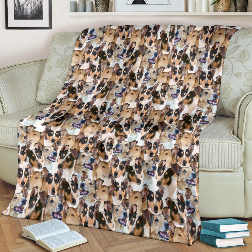 smooth-collie-full-face-blanket-fjv2x.jpg
