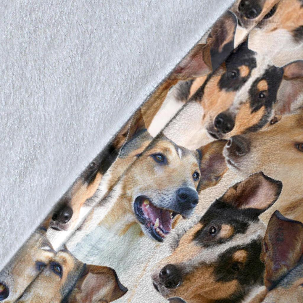smooth-collie-full-face-blanket-mdayo.jpg