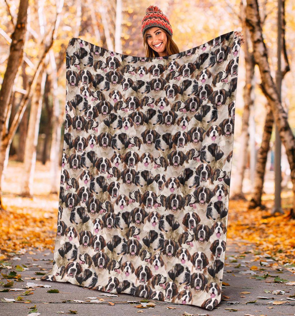 st-bernard-full-face-blanket-hsp8i.jpg