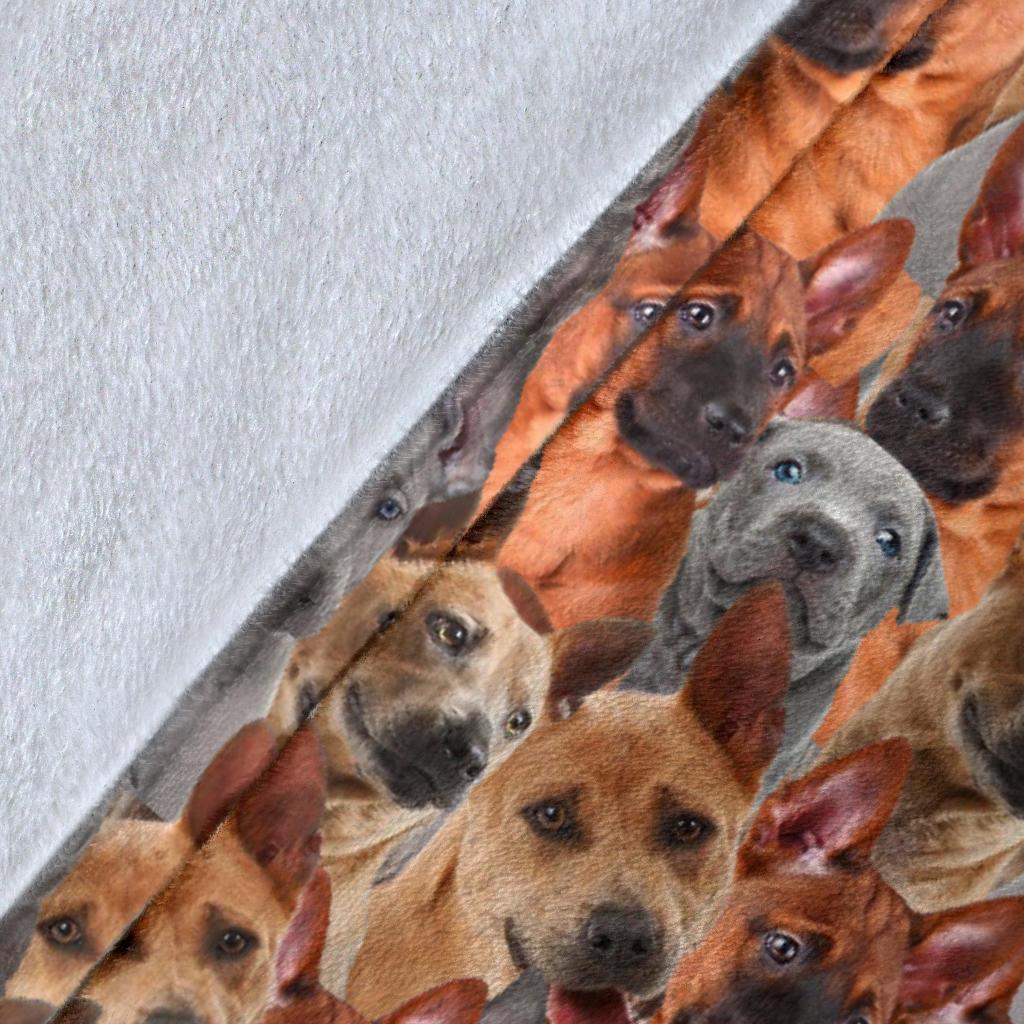 thai-ridgeback-full-face-blanket-zrhmq.jpg