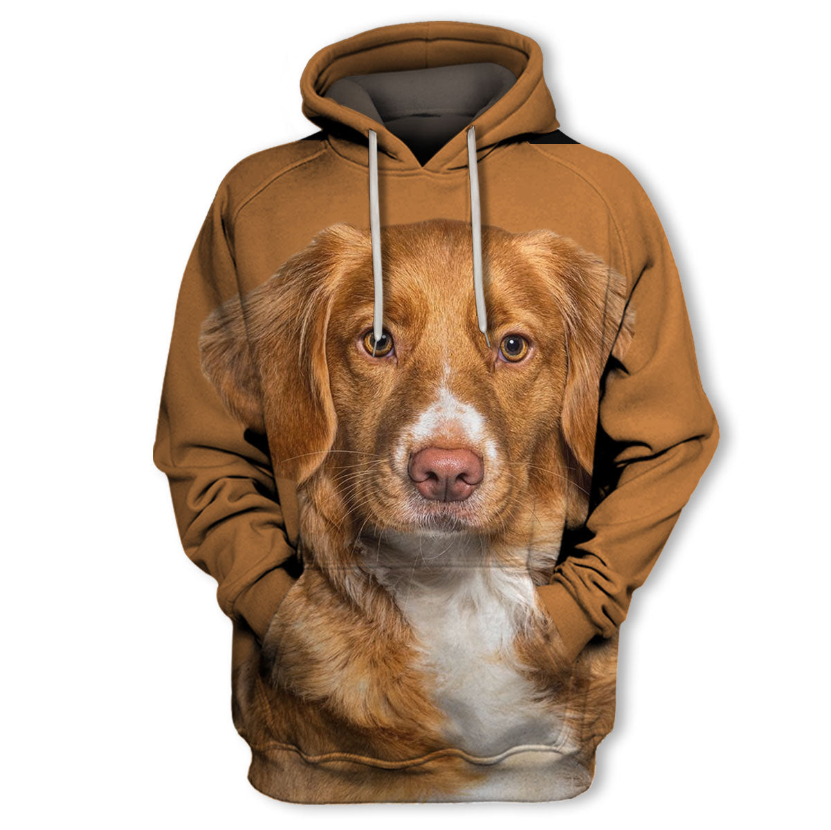 truoc-Nova-Scotia-Duck-Tolling-Retriever_2000x