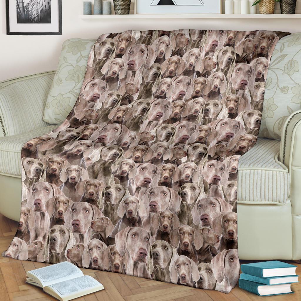 weimaraner-full-face-blanket-16dmq.jpg
