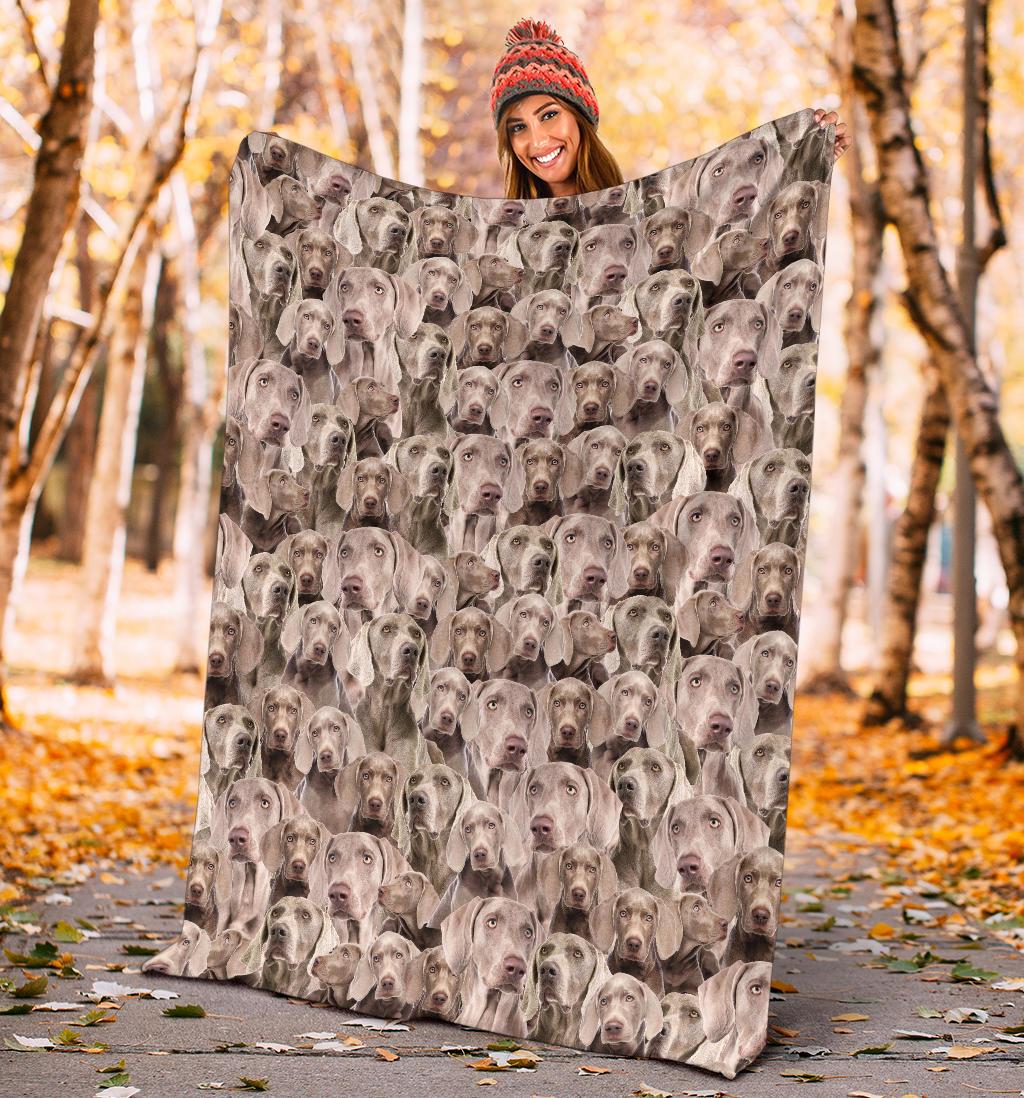 weimaraner-full-face-blanket-2itrg.jpg