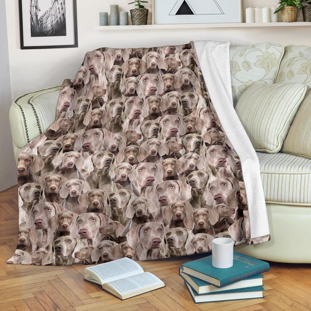 weimaraner-full-face-blanket-5znjv.jpg