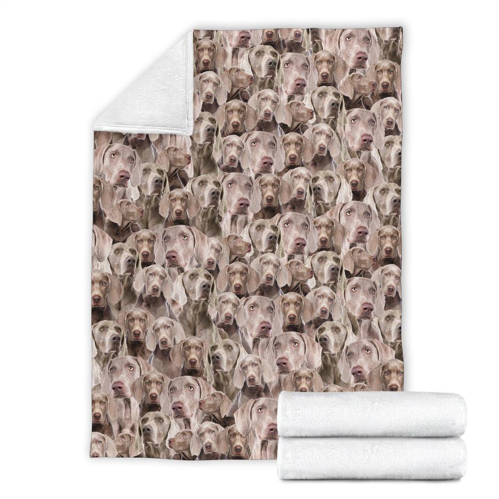 weimaraner-full-face-blanket-b6wt5.jpg