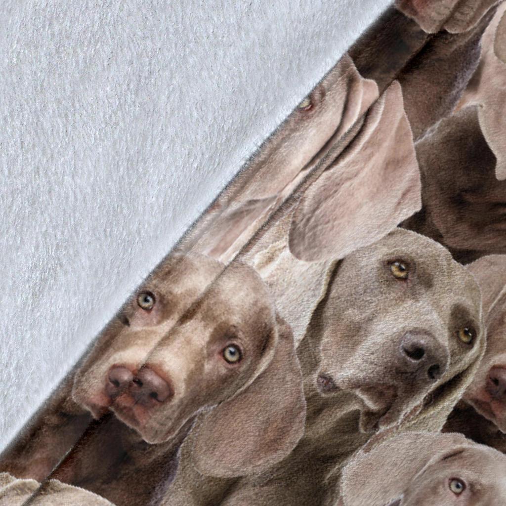 weimaraner-full-face-blanket-nr0ps.jpg