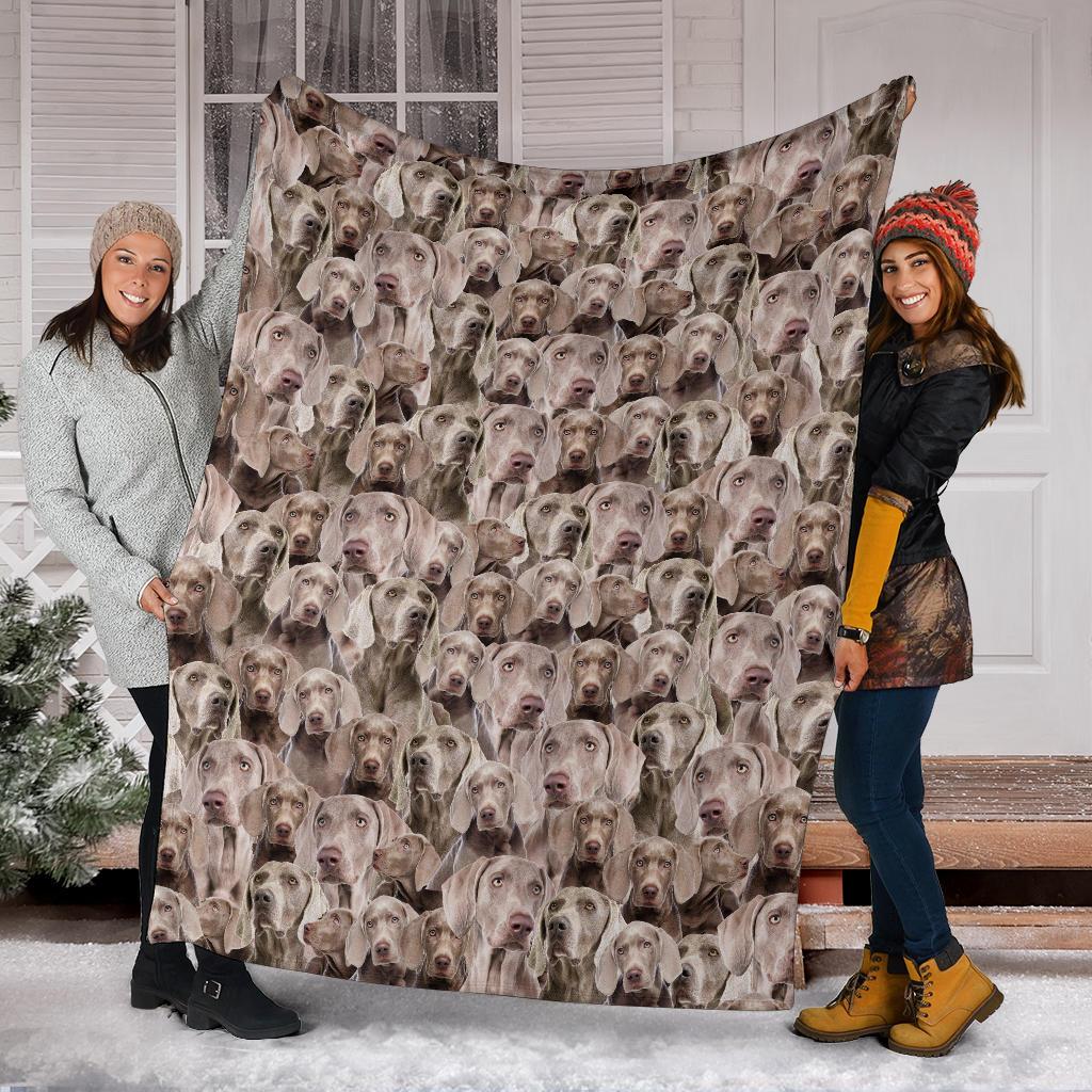 weimaraner-full-face-blanket-xhgbm.jpg