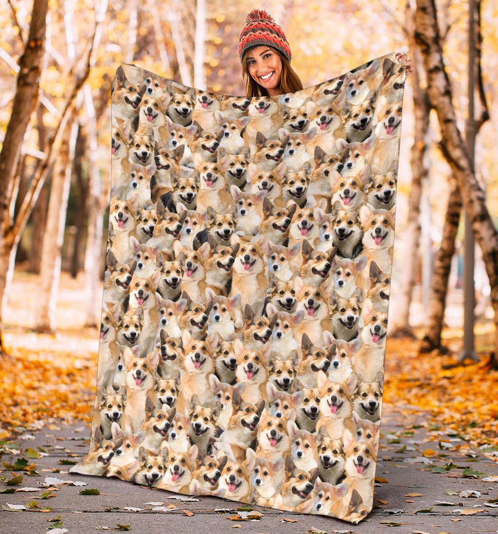 welsh-corgi-full-face-blanket-d3oec.jpg