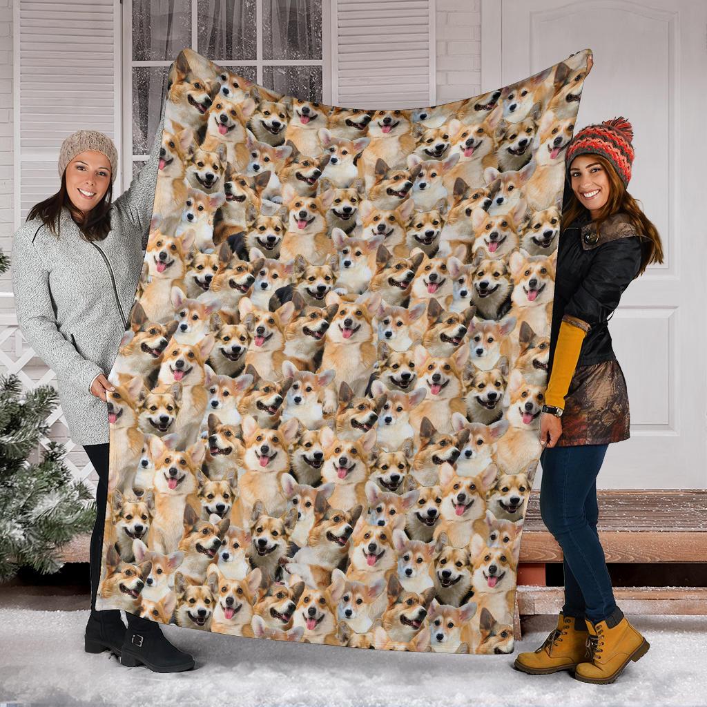 welsh-corgi-full-face-blanket-gxsqm.jpg