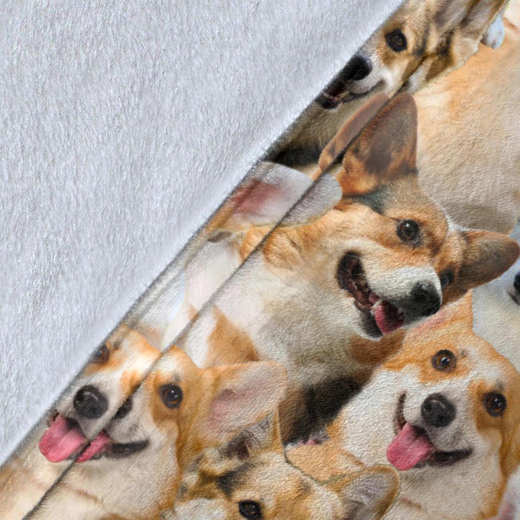welsh-corgi-full-face-blanket-j4b0y.jpg