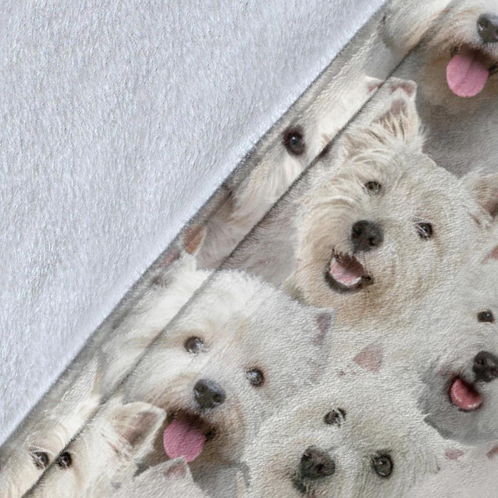 west-highland-white-terrier-full-face-blanket-nmqj9.jpg
