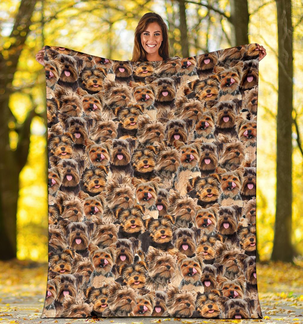 yorkshire-terrier-full-face-blanket-giu89.jpg